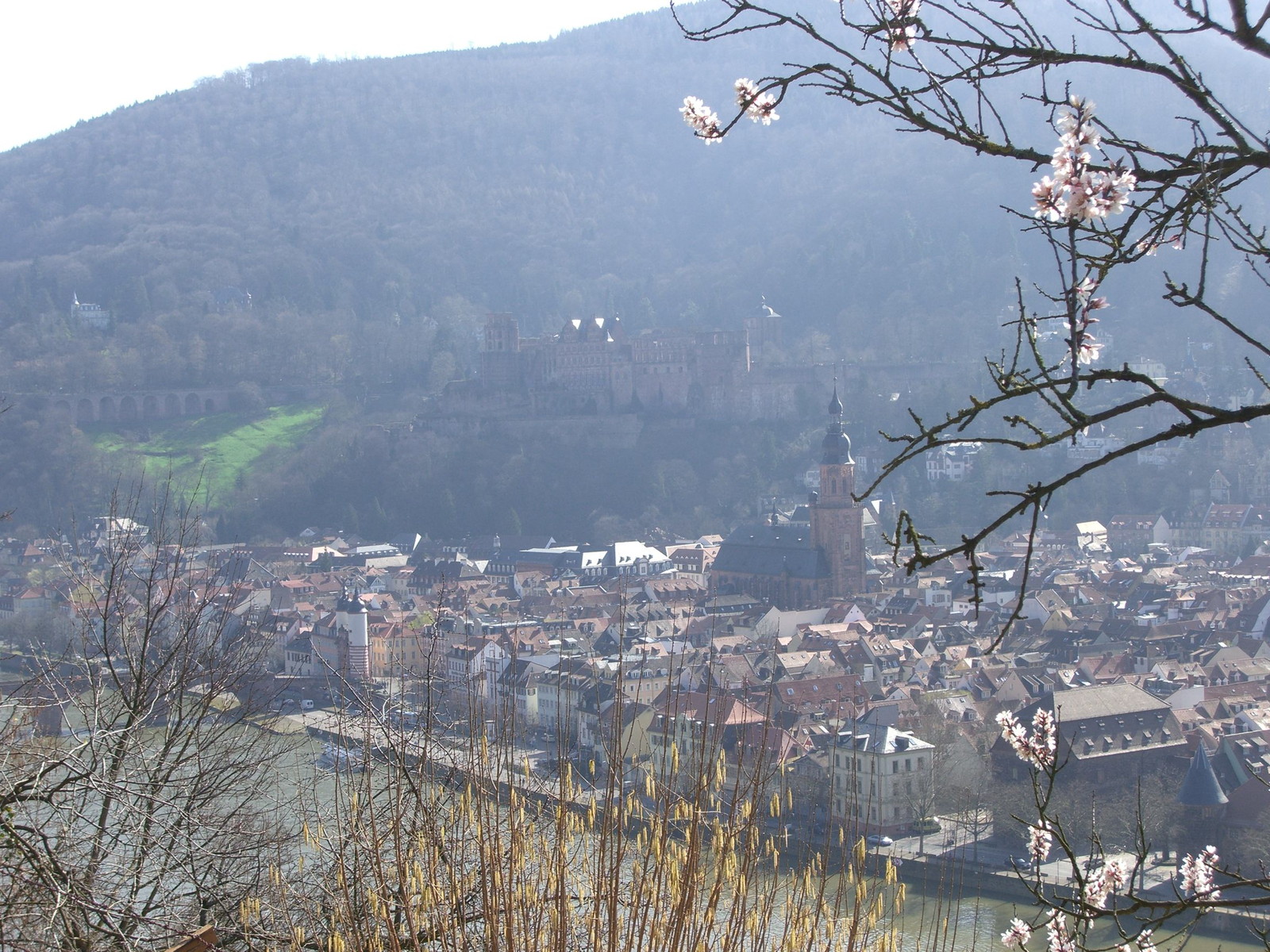 Heidelberg Castle Altstadt